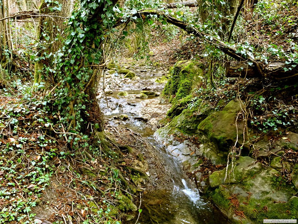 DSC02239