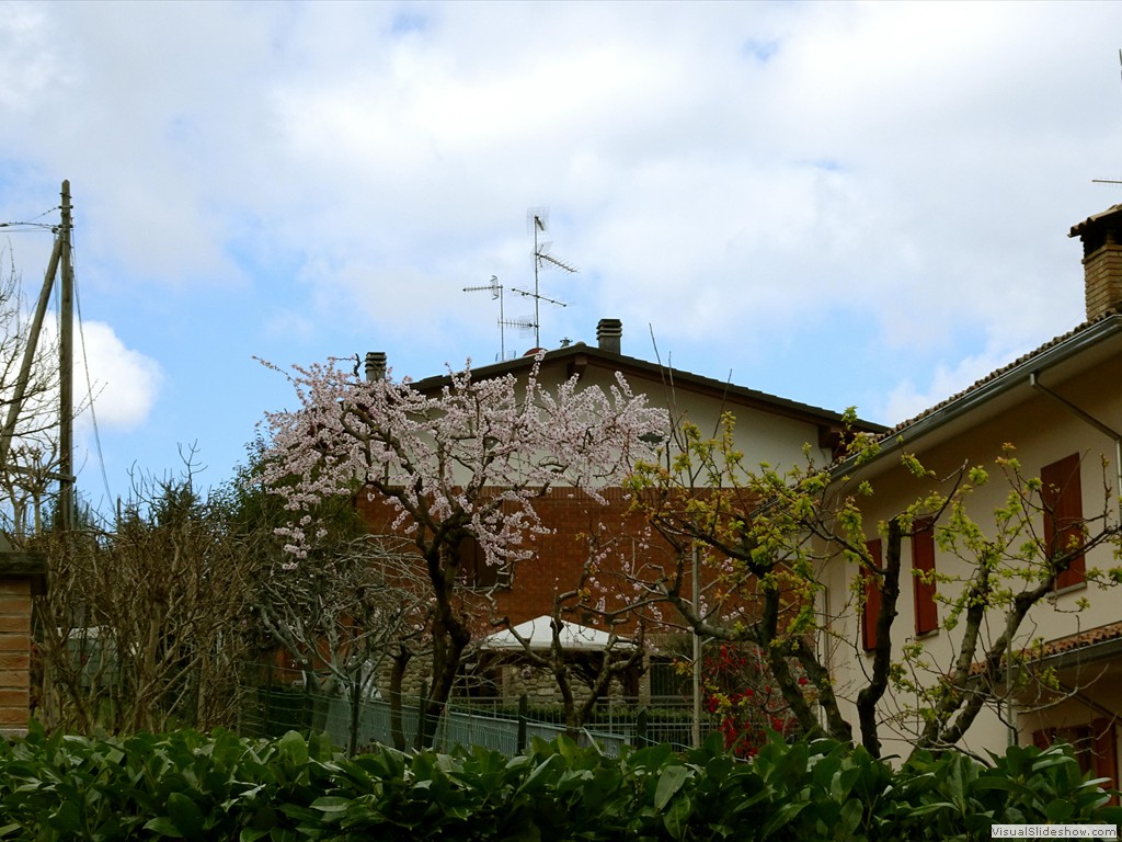 DSC02254