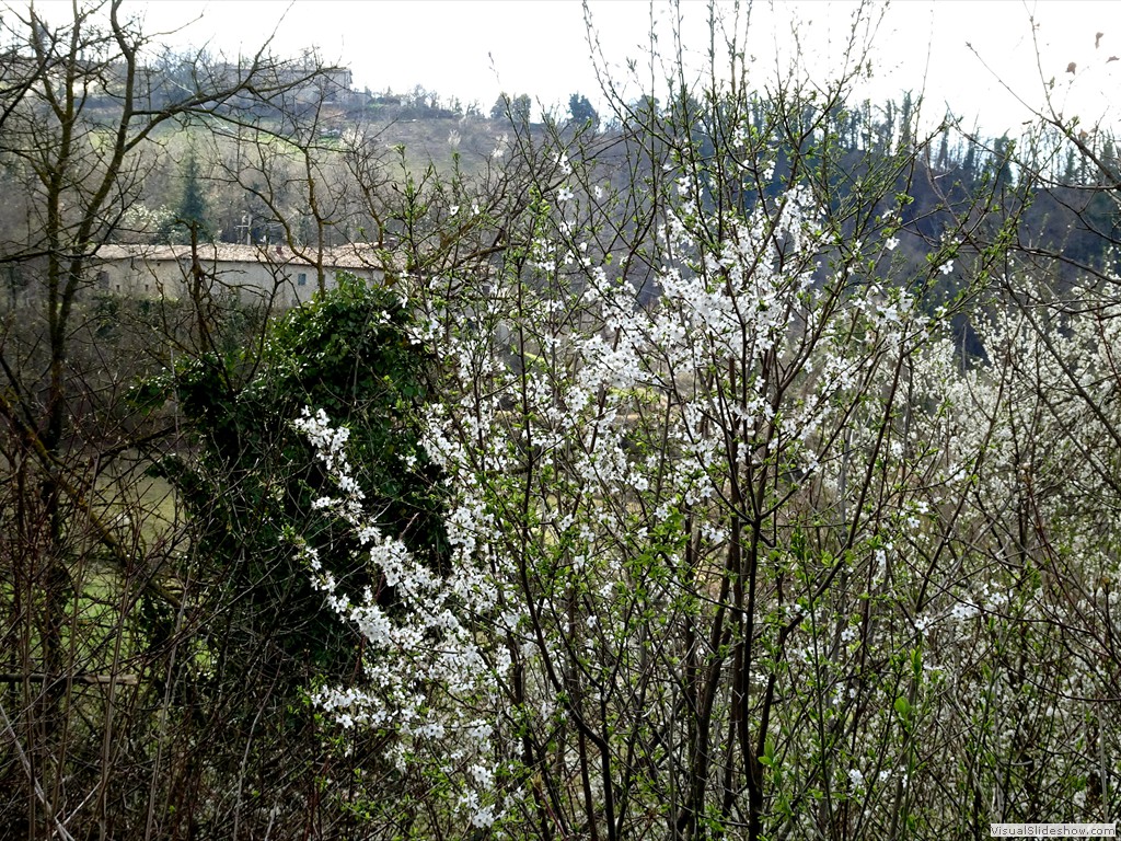 DSC02261