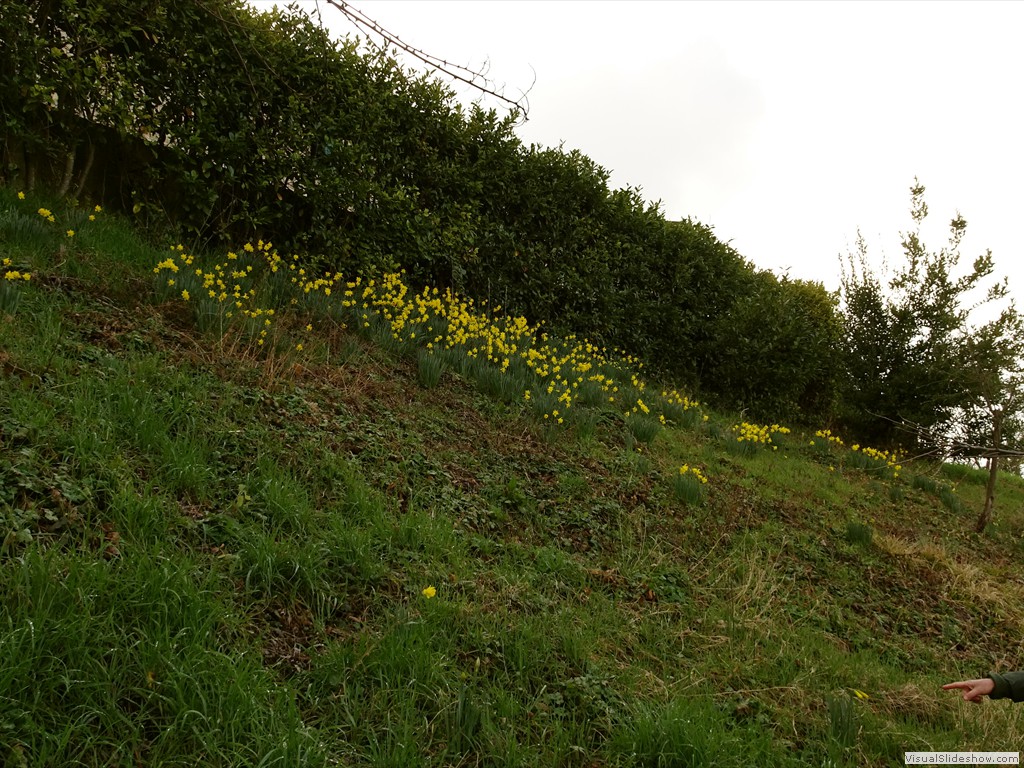 DSC02267