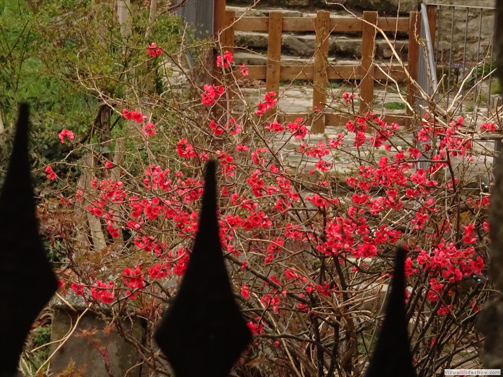 DSC02284