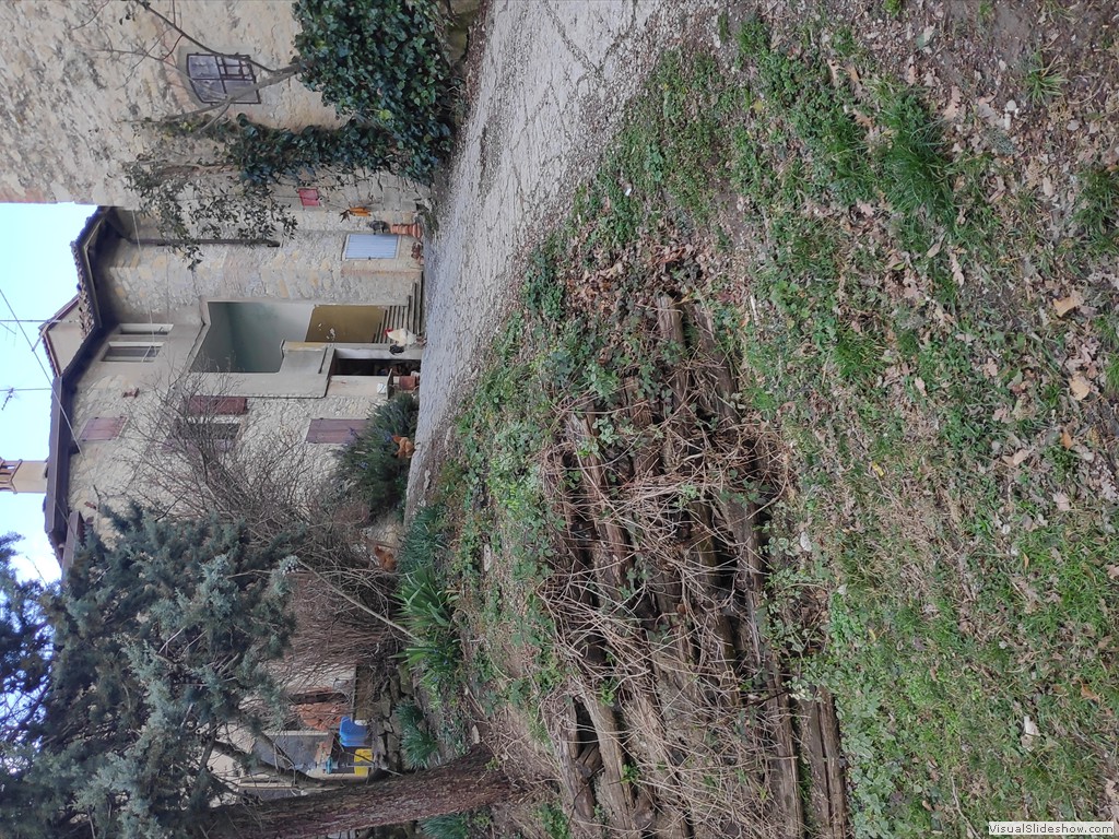 IMG_20200304_150647