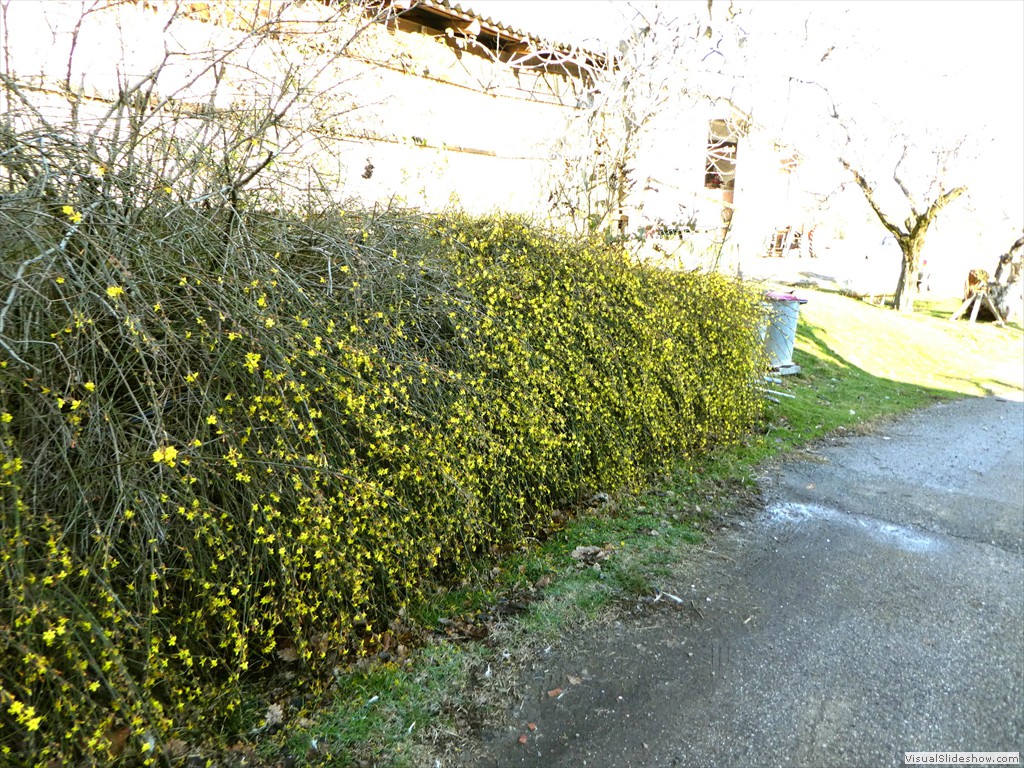 P1000046