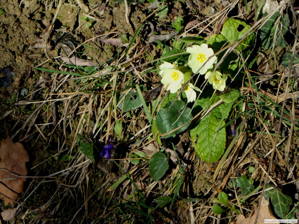 P1000052