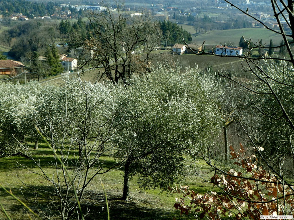 P1000056