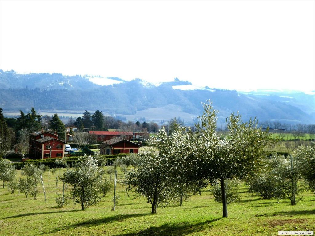 P1000061