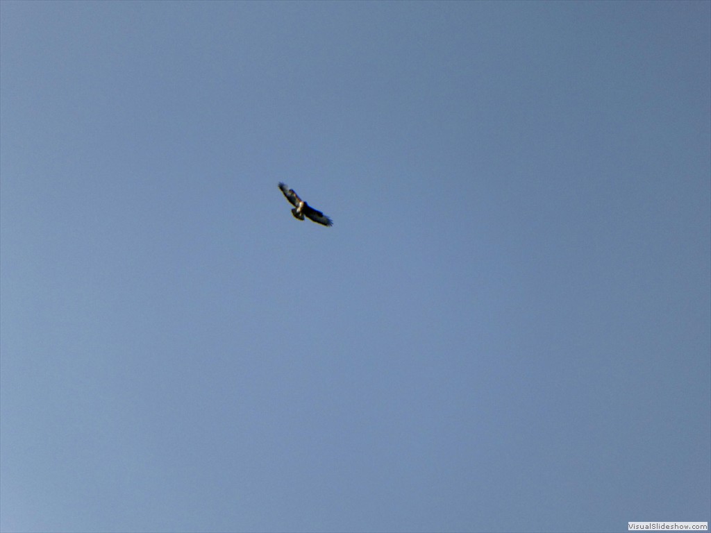 P1000068