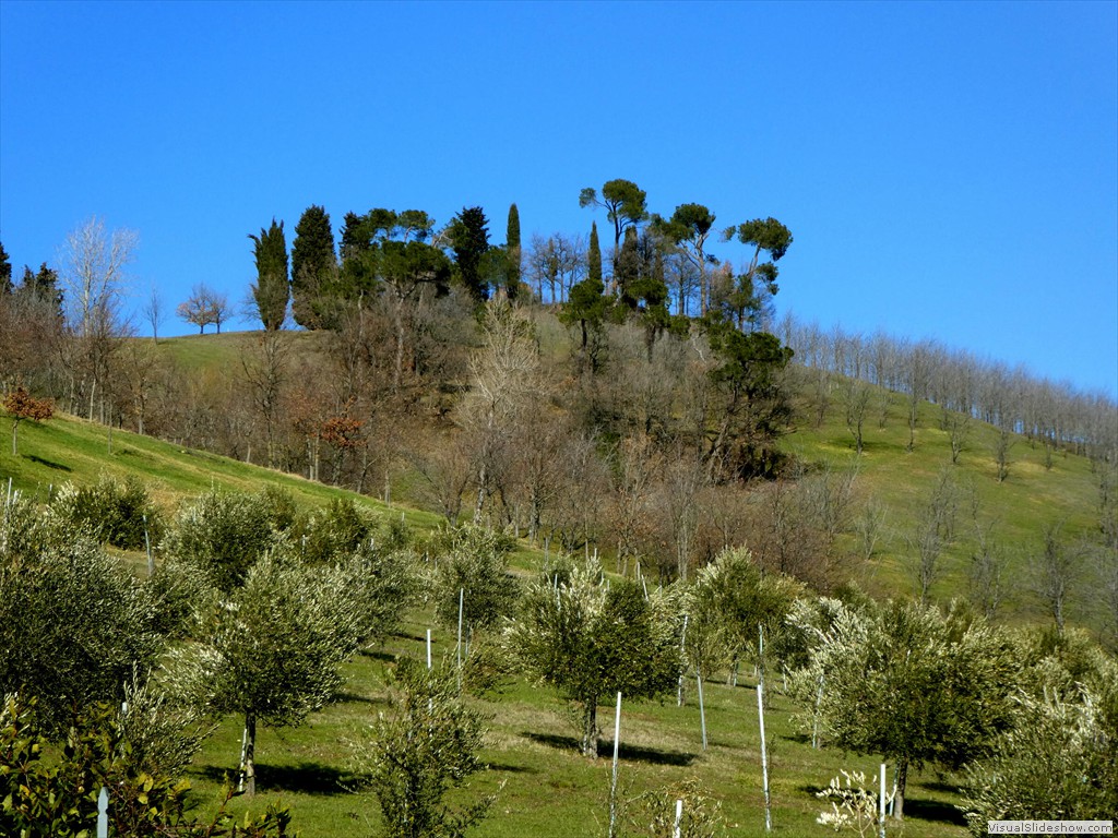 P1000069