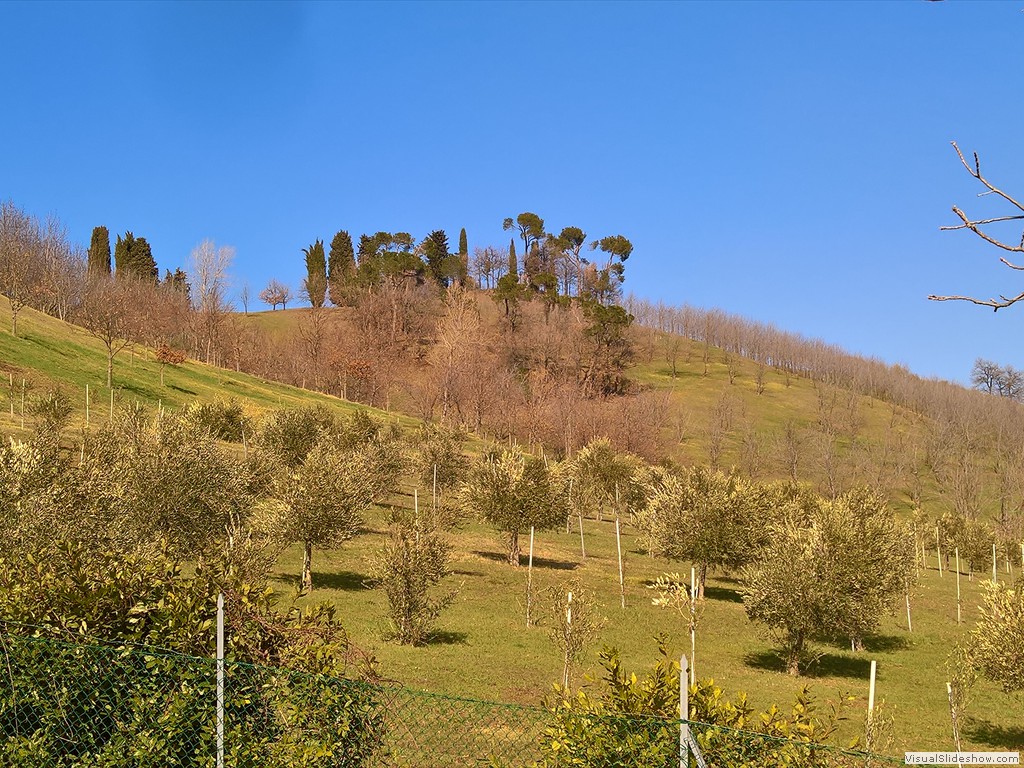 WP_20180214_12_25_13_Pro