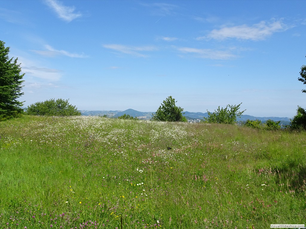 DSC03221