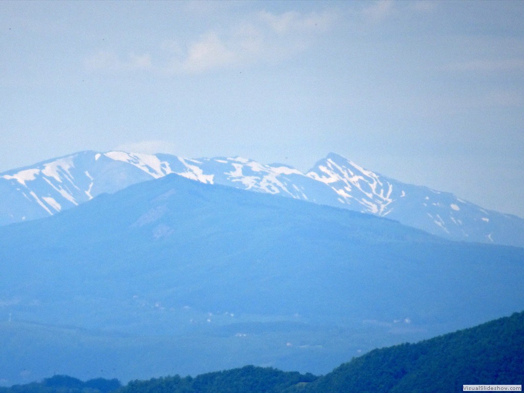 DSC03228