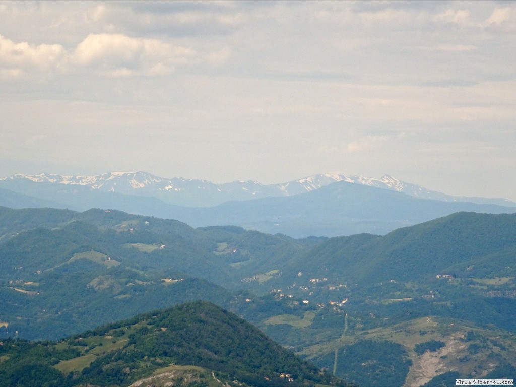 DSC03229