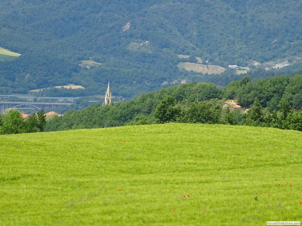 DSC03241
