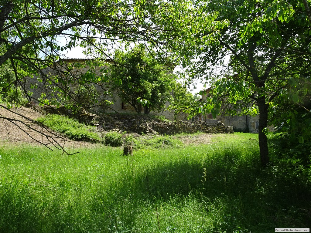 DSC03242