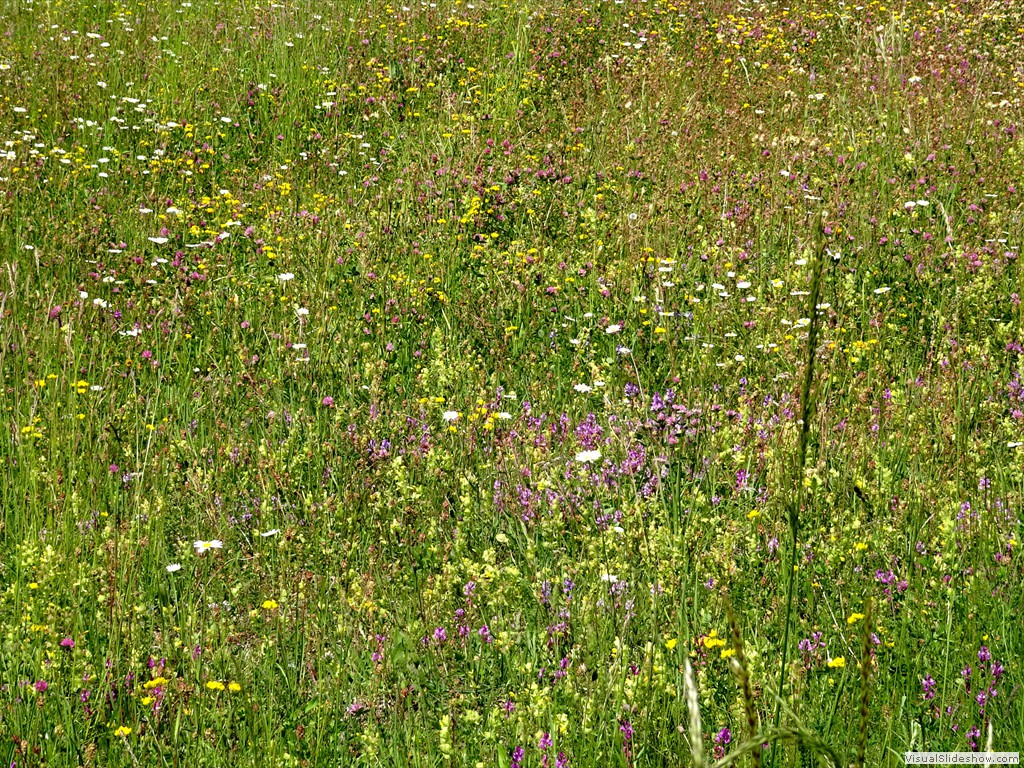 DSC03245