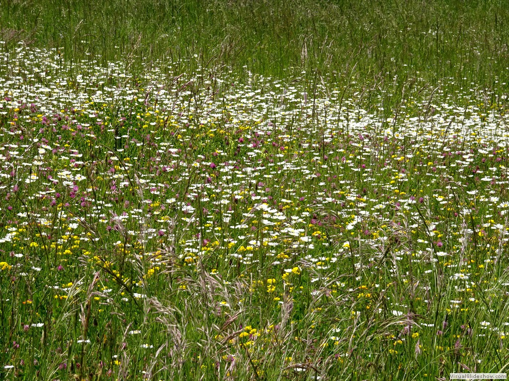 DSC03246