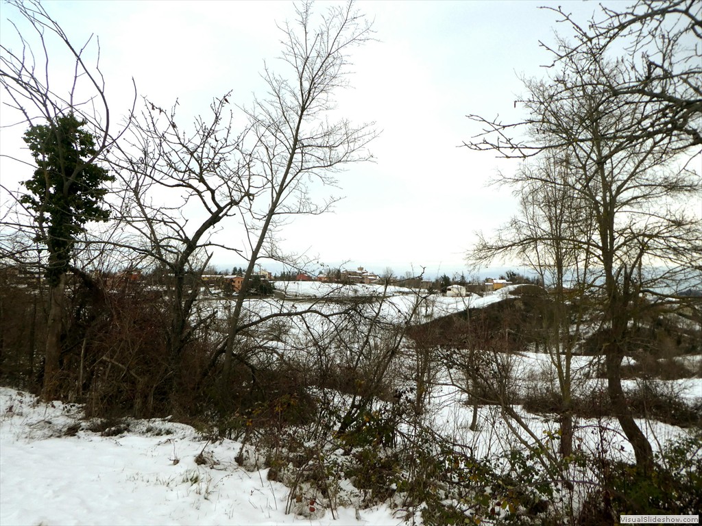 P1040508