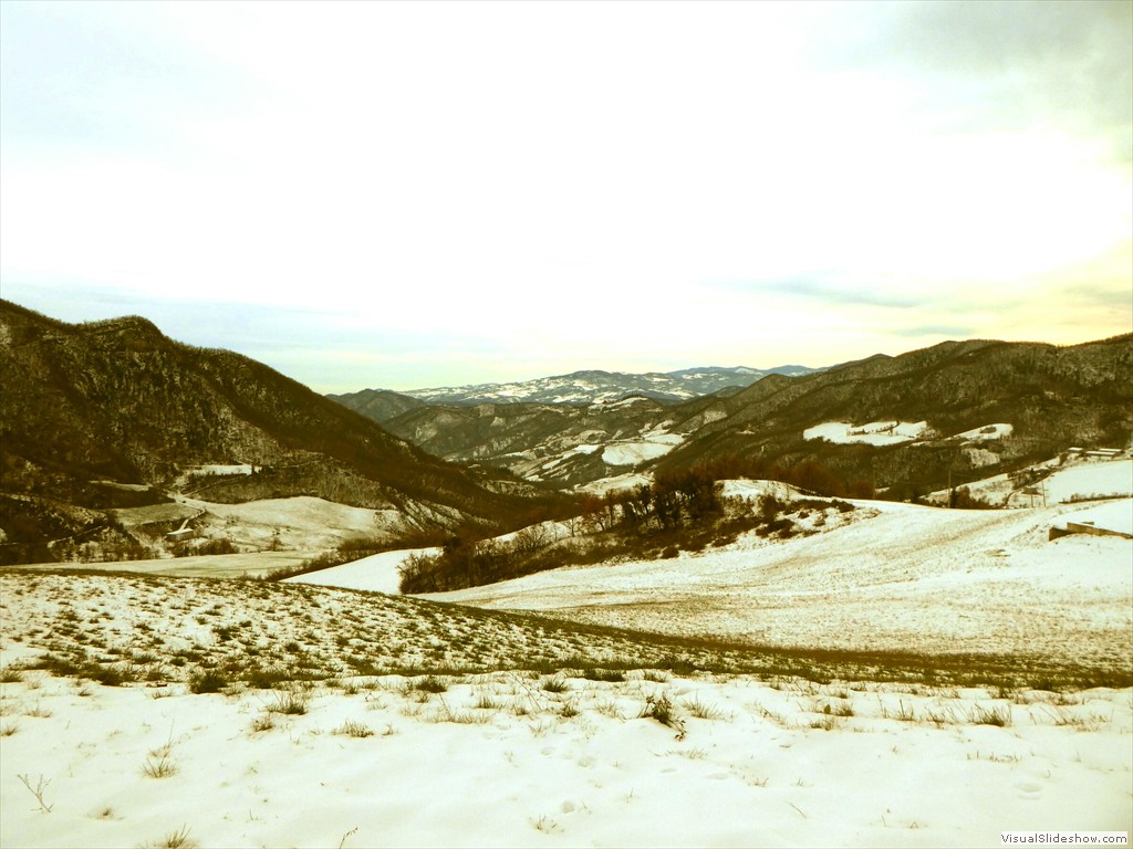 P1040523