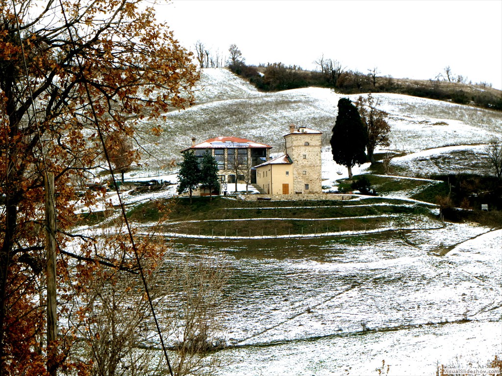 P1040524