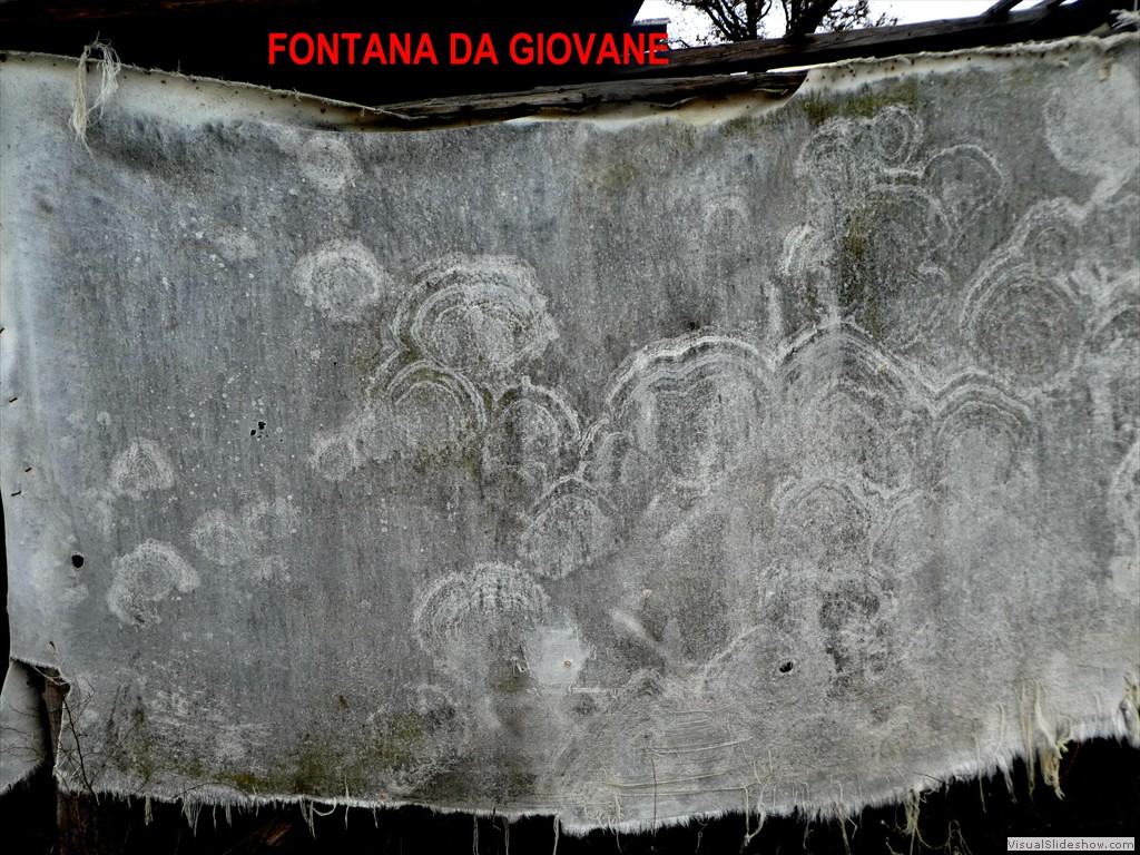 P1040530