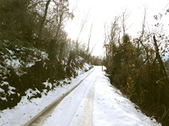 P1040512