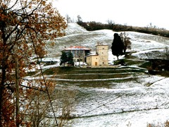 P1040524