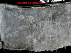 P1040530