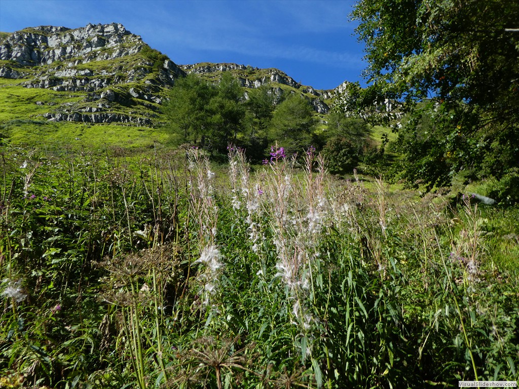 P1030317