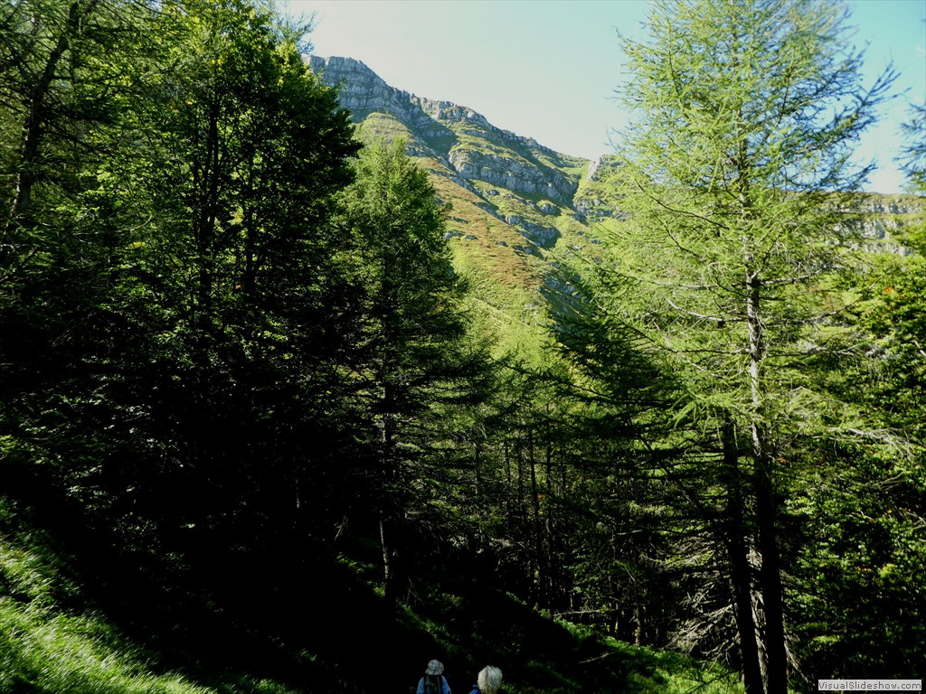 P1030323