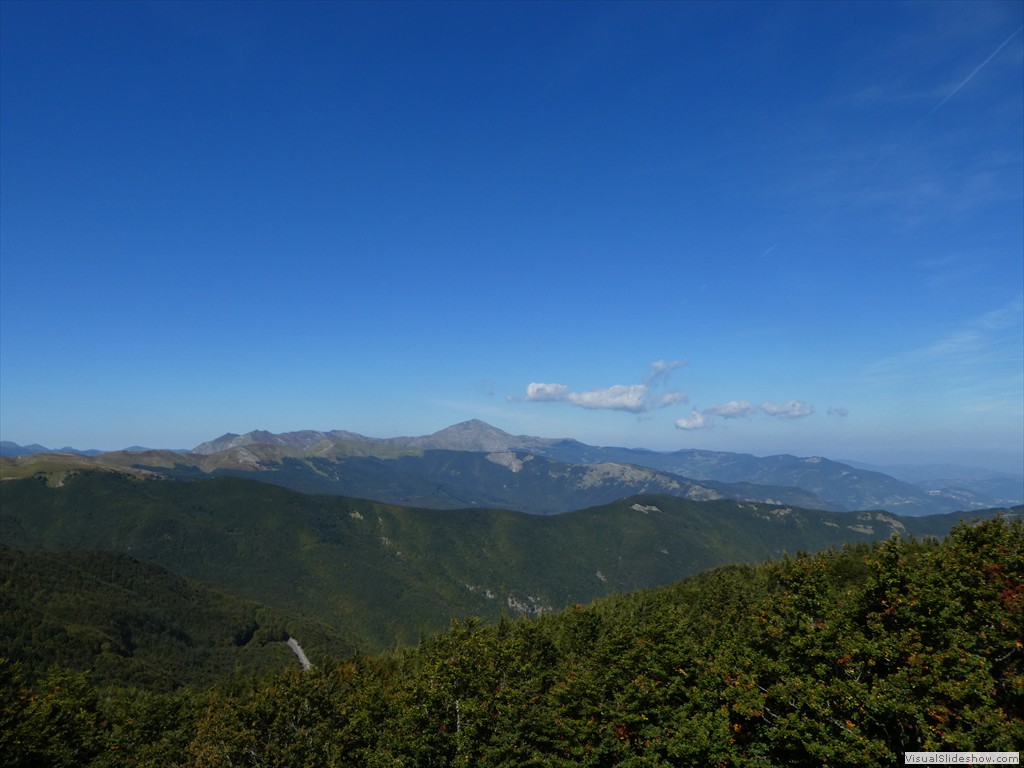 P1030335