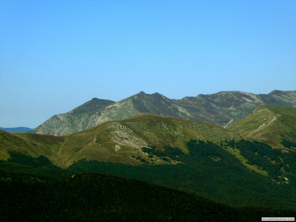 P1030337