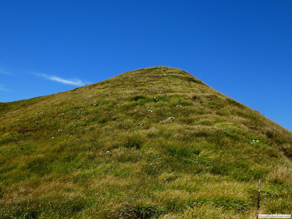 P1030354