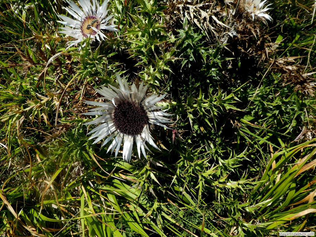 P1030361