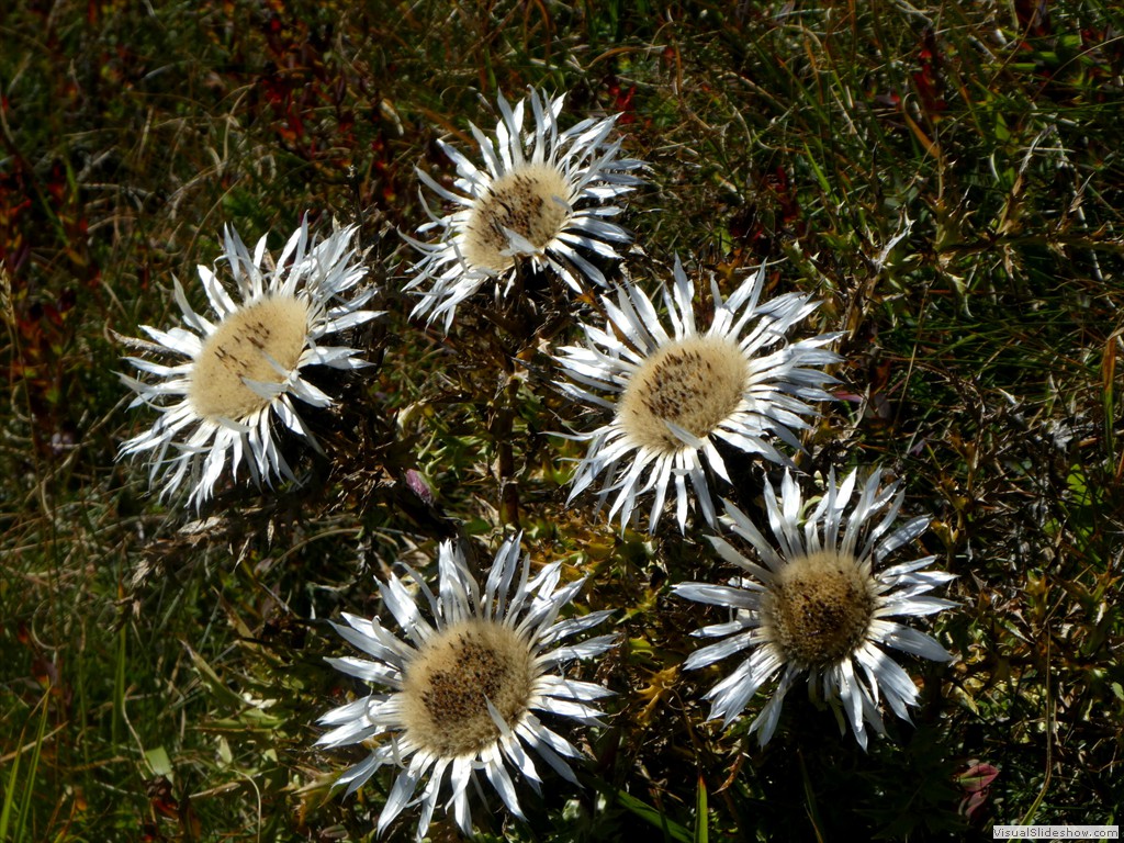 P1030362