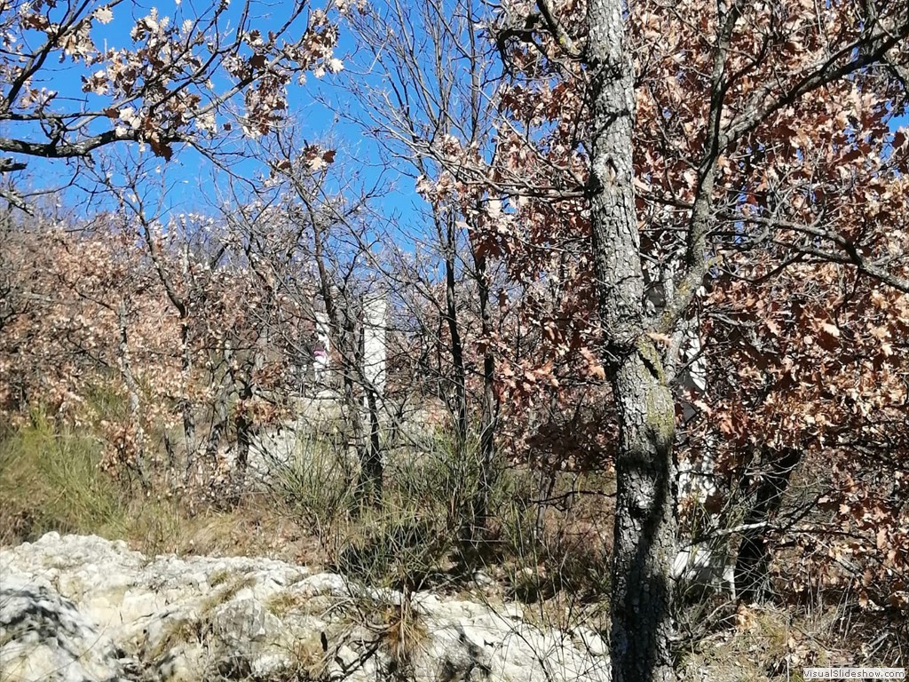 IMG-20210211-WA0007