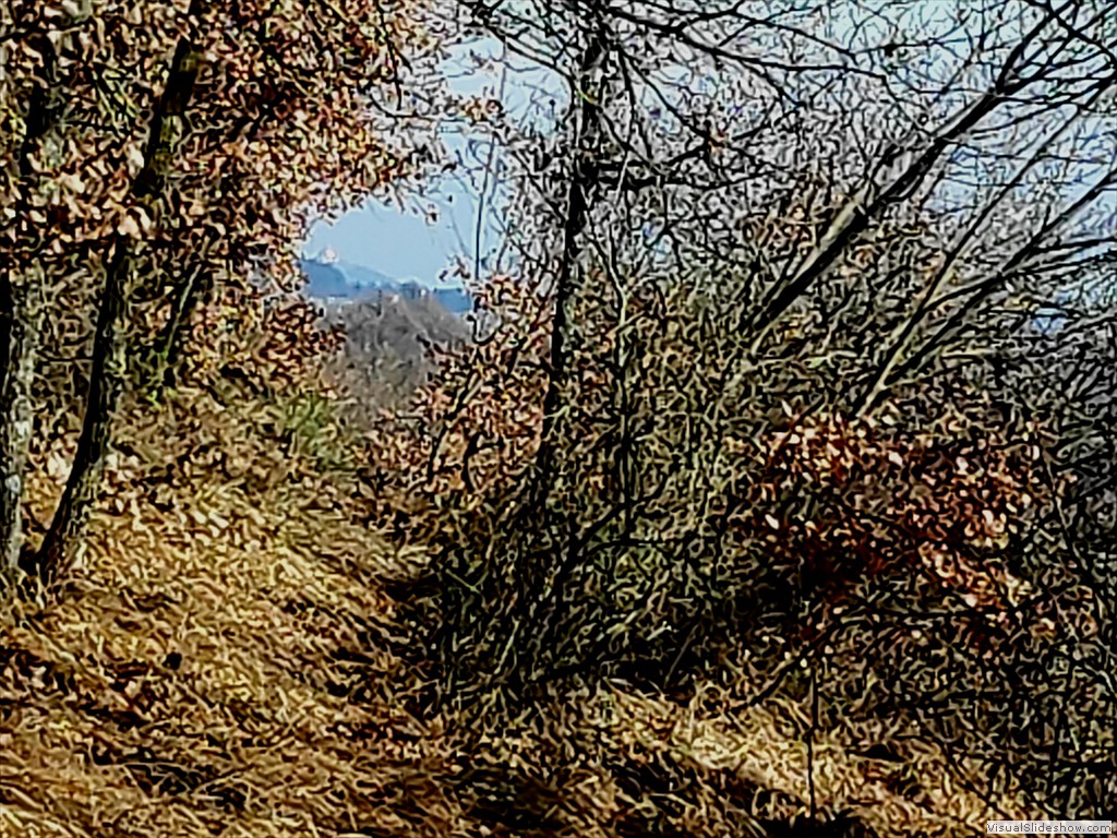 IMG_20210211_110835