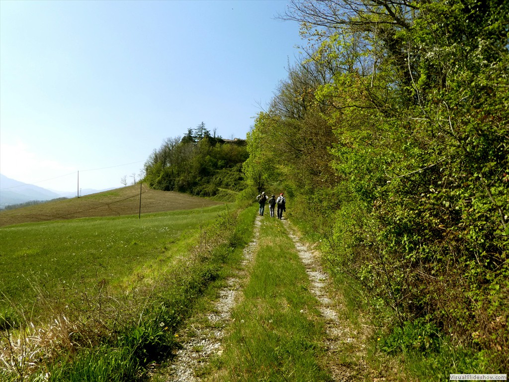 P1060795
