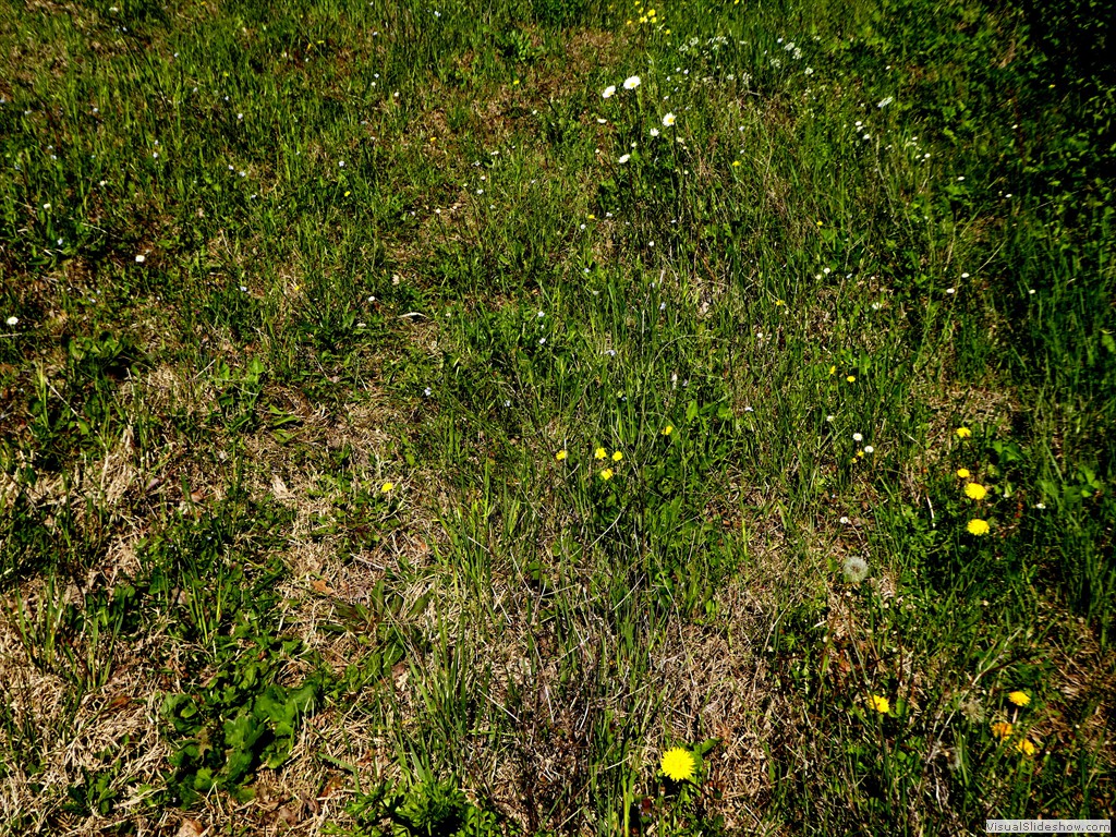 P1060797