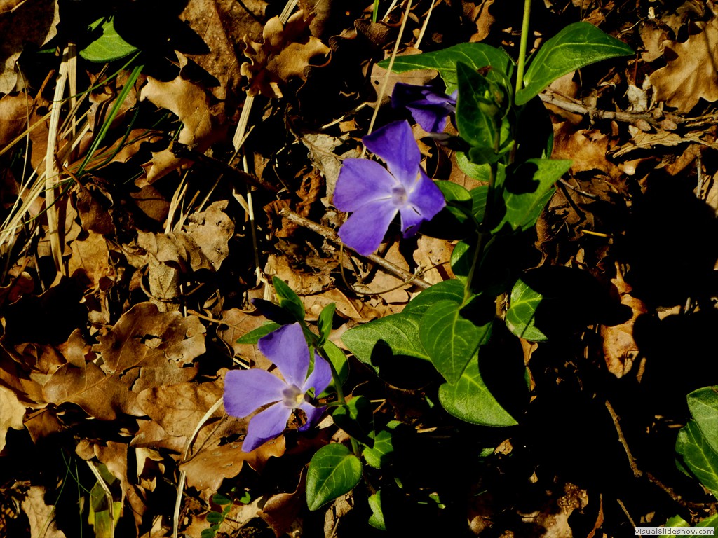 P1060800