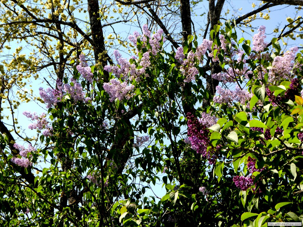 P1060822