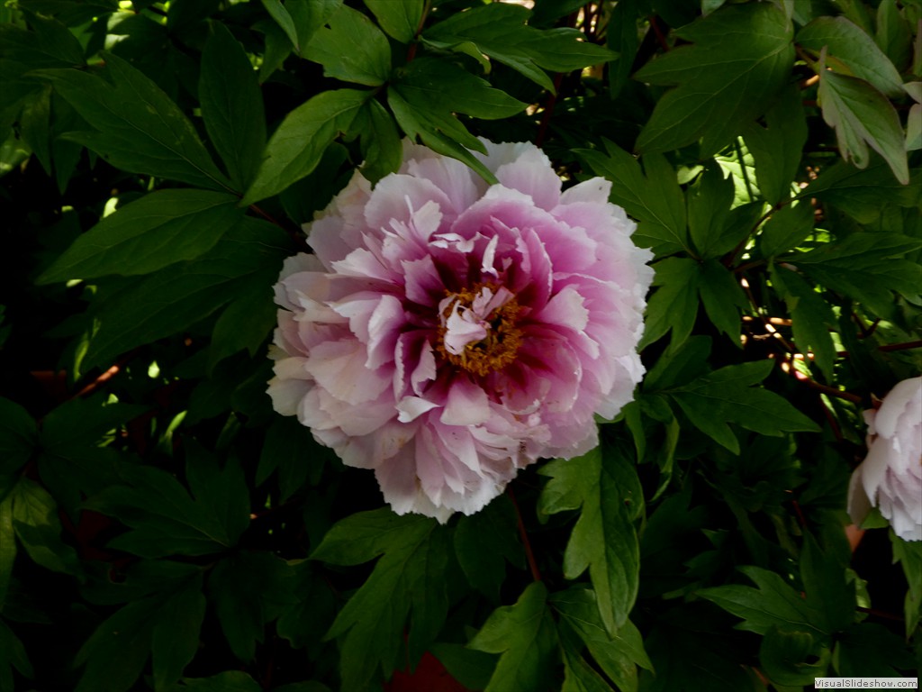 P1060827