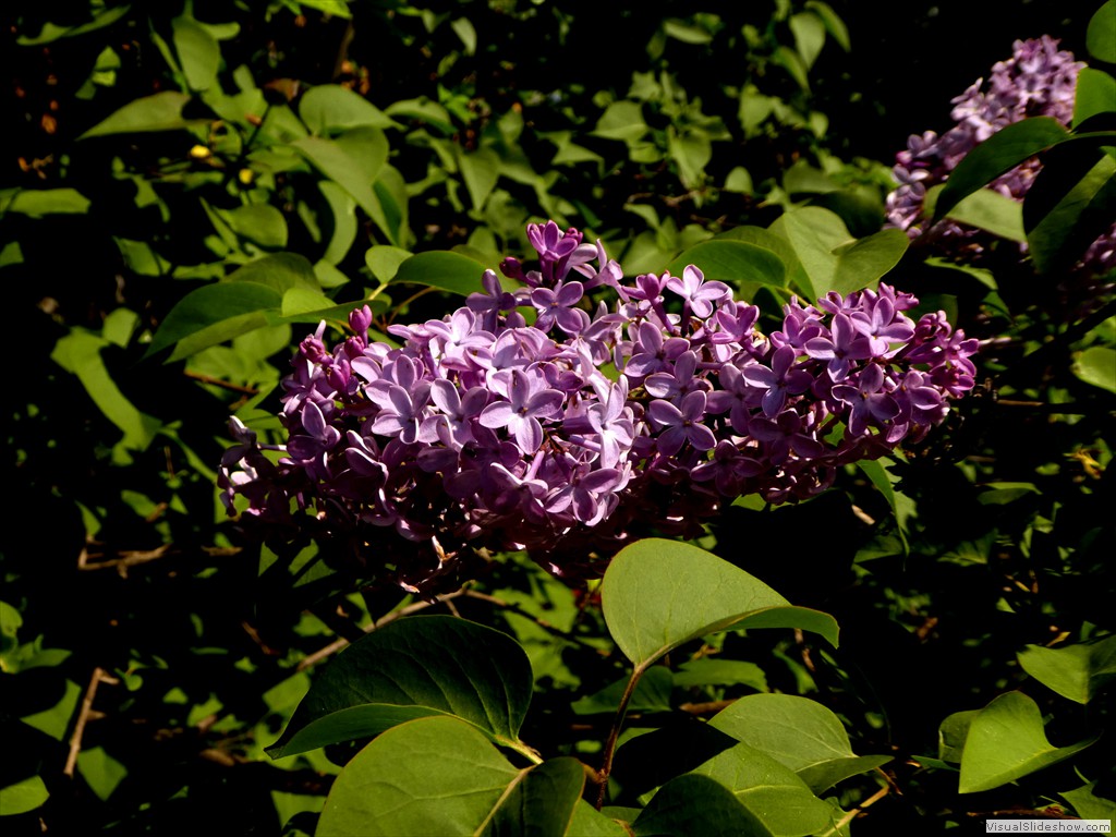 P1060829