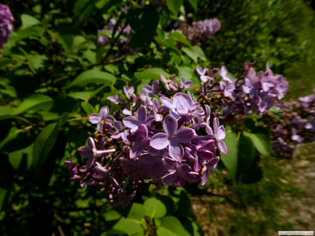 P1060830