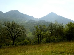 P1060791