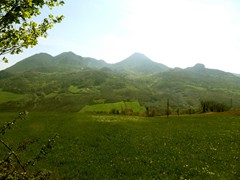 P1060796