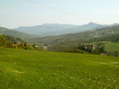 P1060799