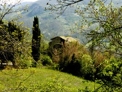 P1060805