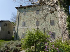 P1060806