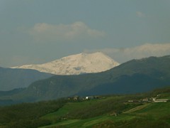 P1060831