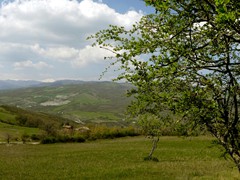 P1060833